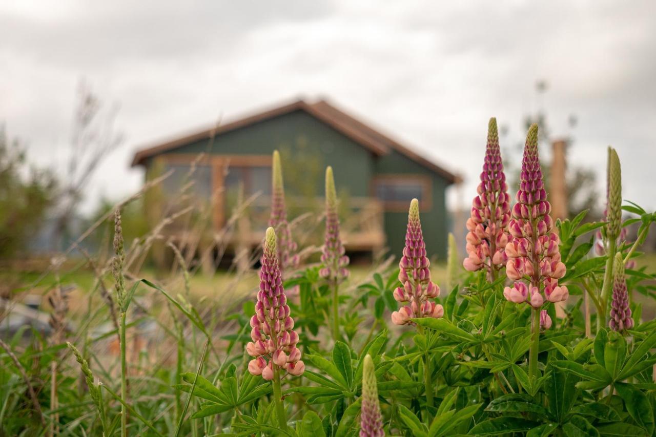 Garden Domes Villa Puerto Natales Dış mekan fotoğraf