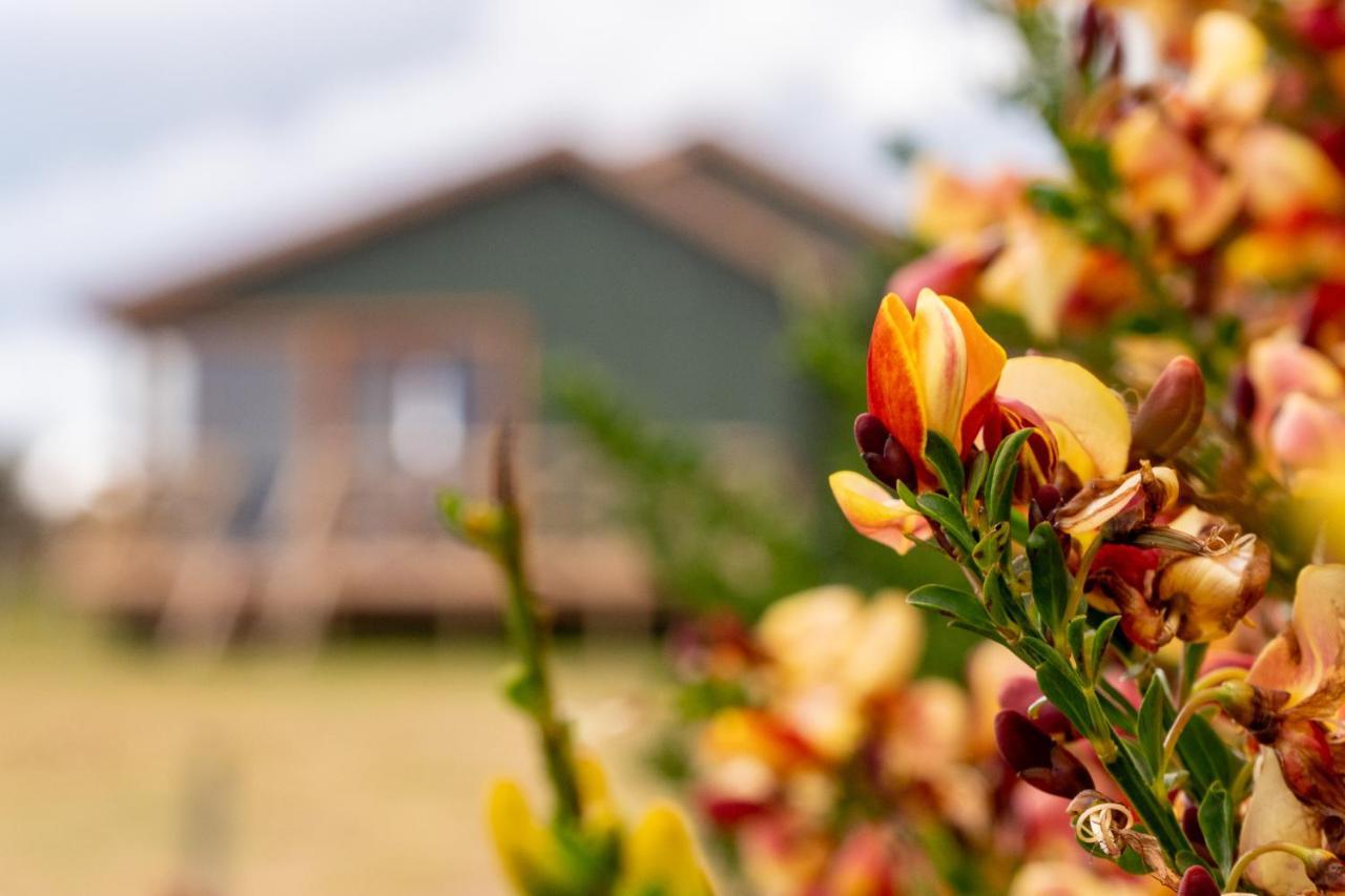 Garden Domes Villa Puerto Natales Dış mekan fotoğraf