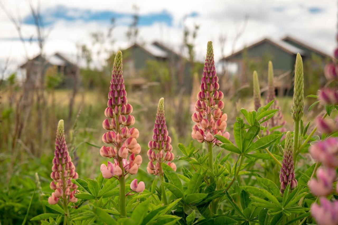 Garden Domes Villa Puerto Natales Dış mekan fotoğraf