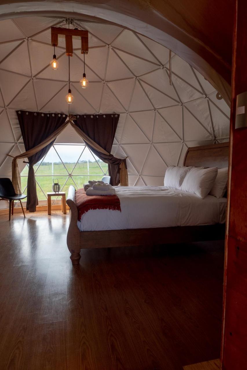 Garden Domes Villa Puerto Natales Dış mekan fotoğraf