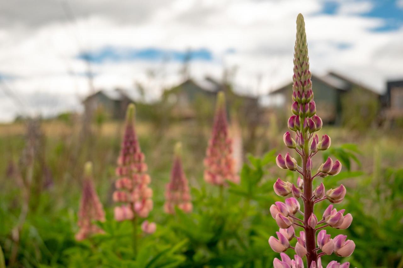 Garden Domes Villa Puerto Natales Dış mekan fotoğraf