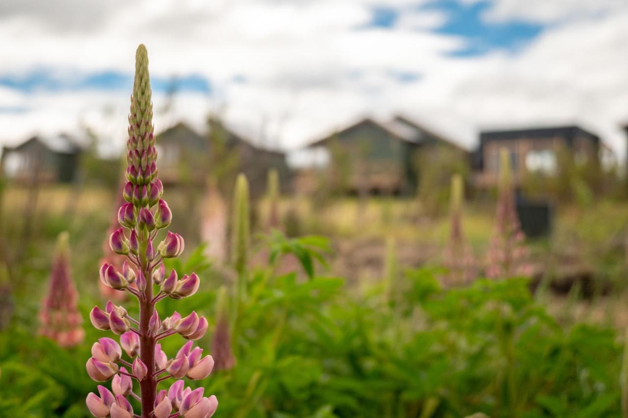Garden Domes Villa Puerto Natales Dış mekan fotoğraf