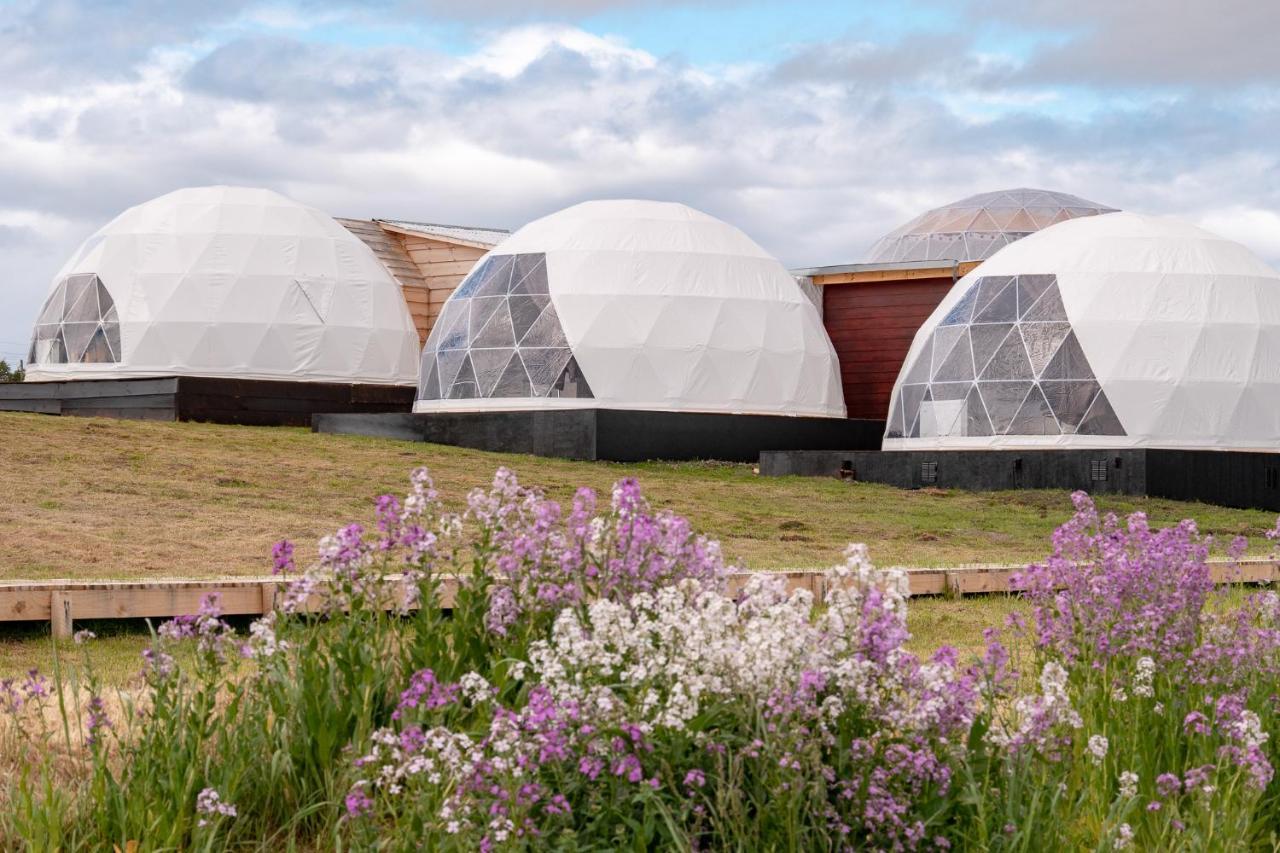 Garden Domes Villa Puerto Natales Dış mekan fotoğraf